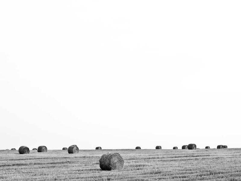 How to Resize Images Online Without Losing Quality