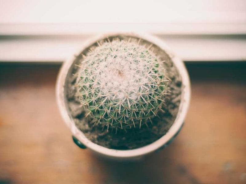 Top 5 Free Tools for Remote Workers & Digital Nomads